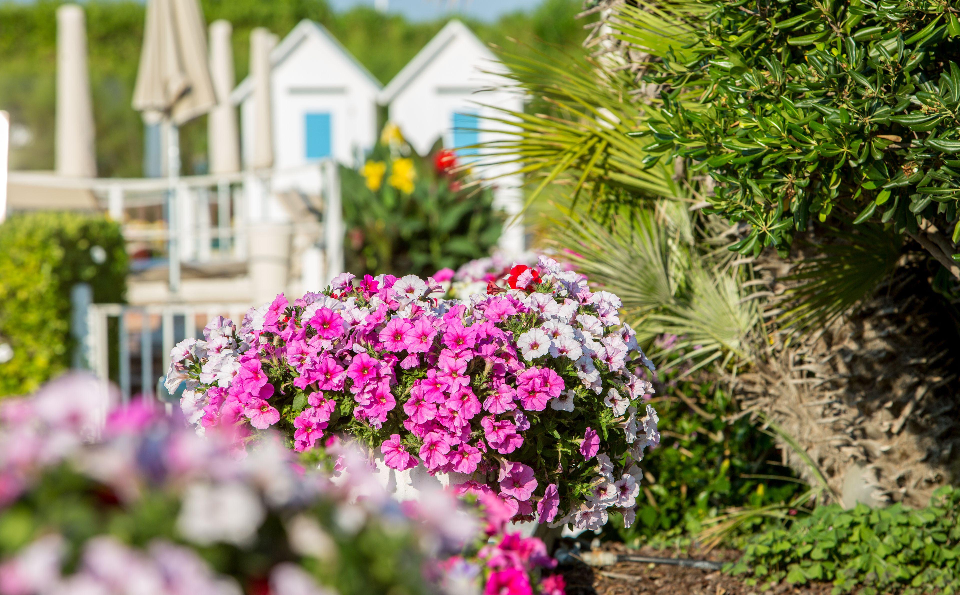 Hotel Aurora Lido di Jesolo